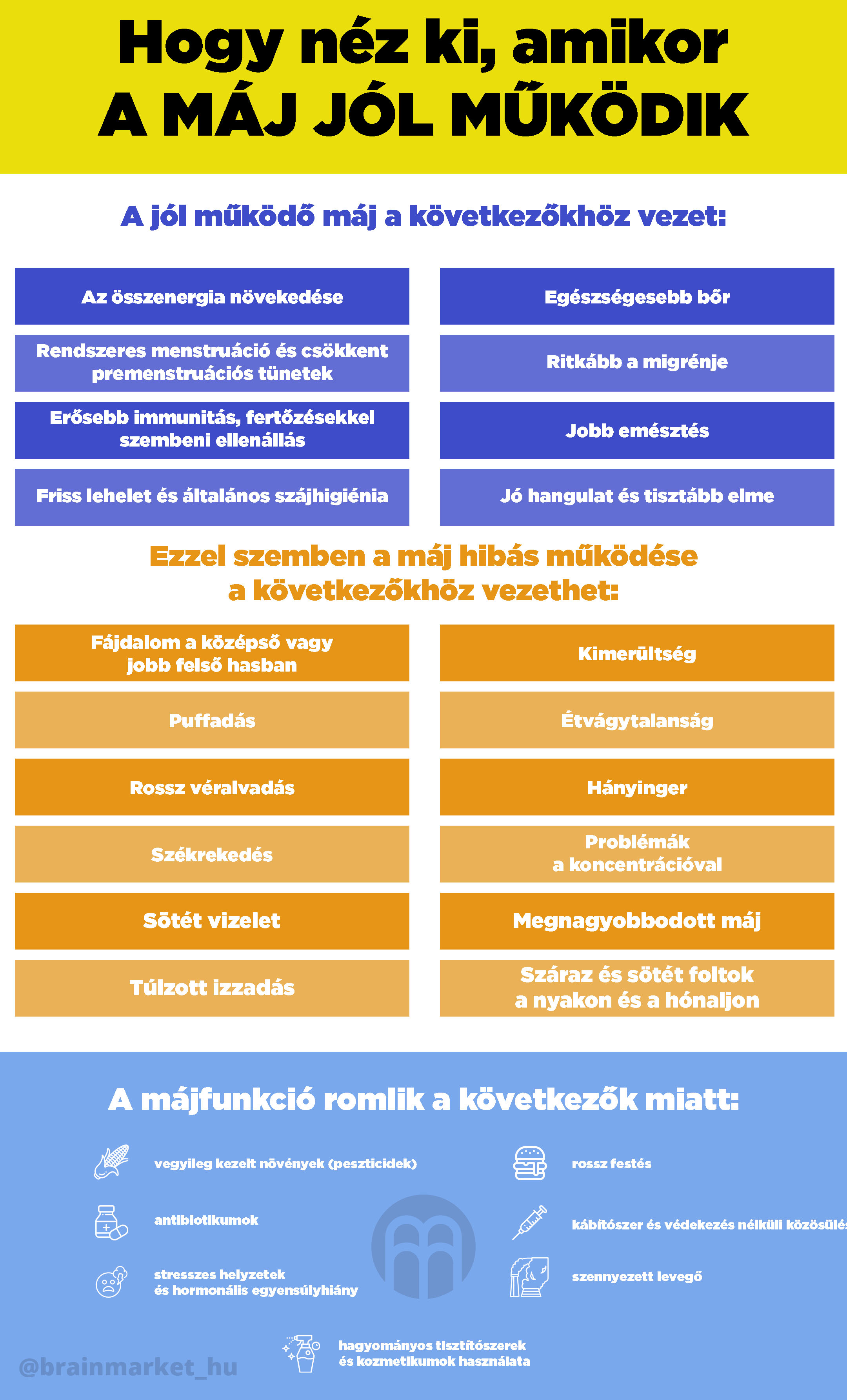 jatra dobre funguji infografika brainmarket HU